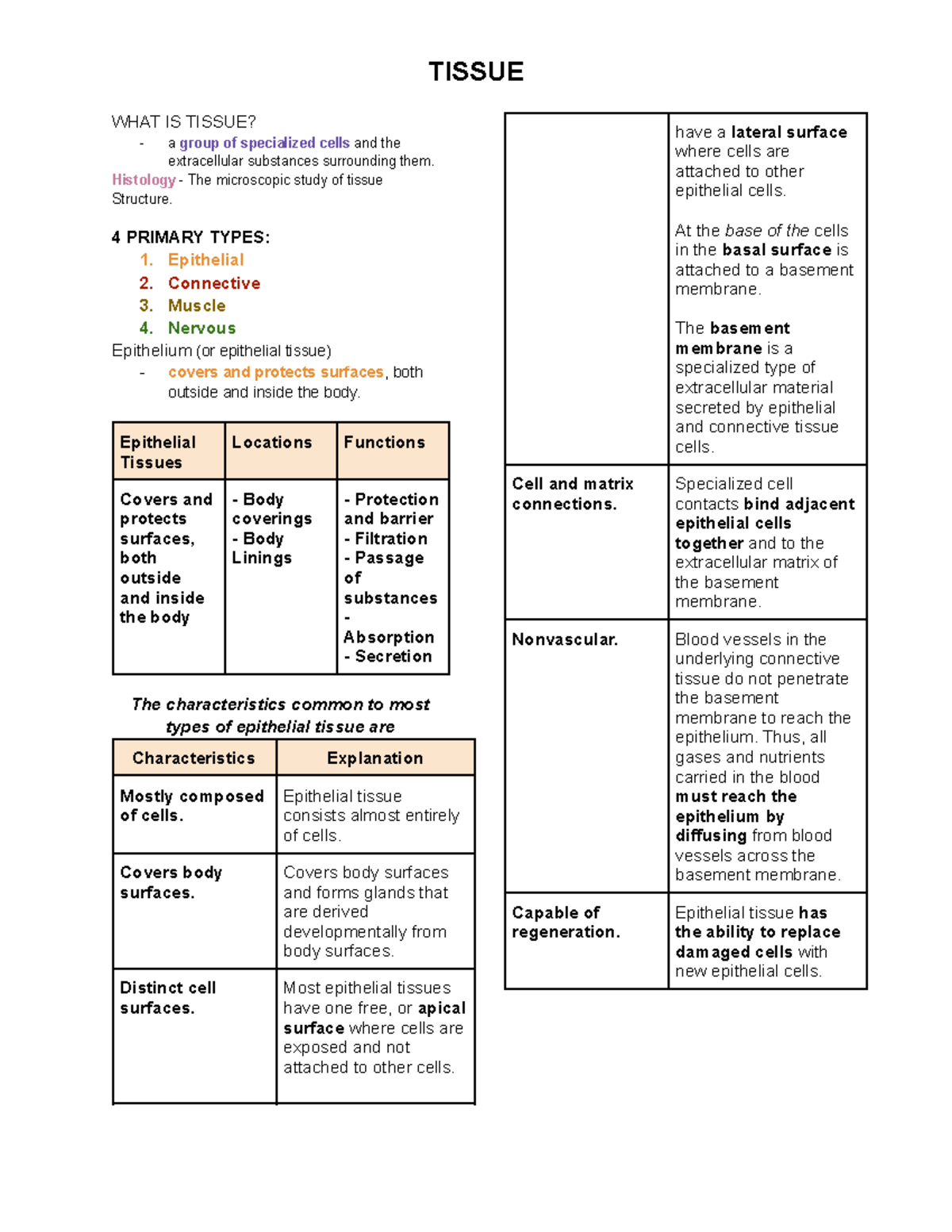 Tissues (notes) - Dr. Borbon - TISSUE WHAT IS TISSUE? agroup of ...