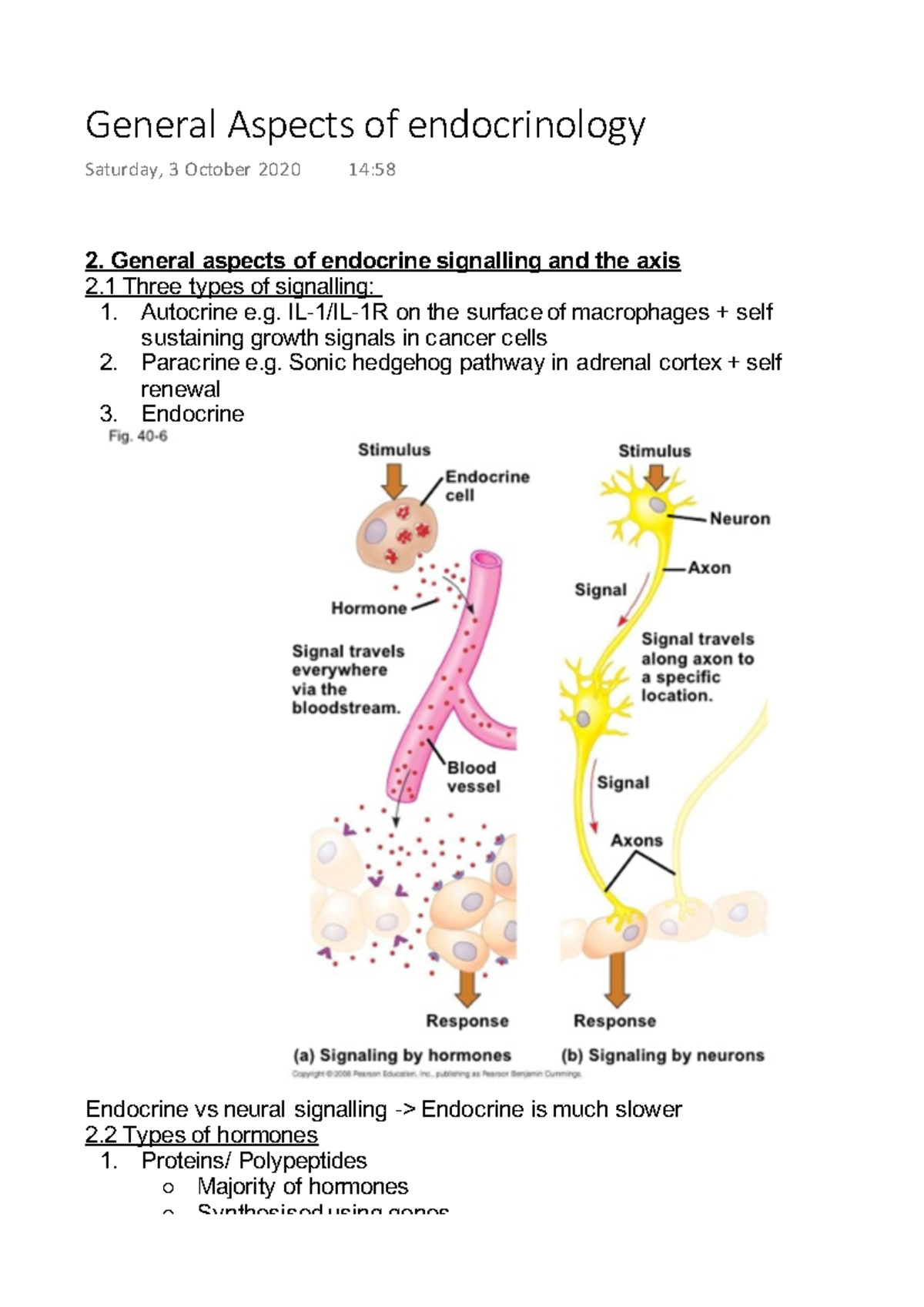 Endocrinology Lecture 2: Overview of Signalling and Hormones - Studocu