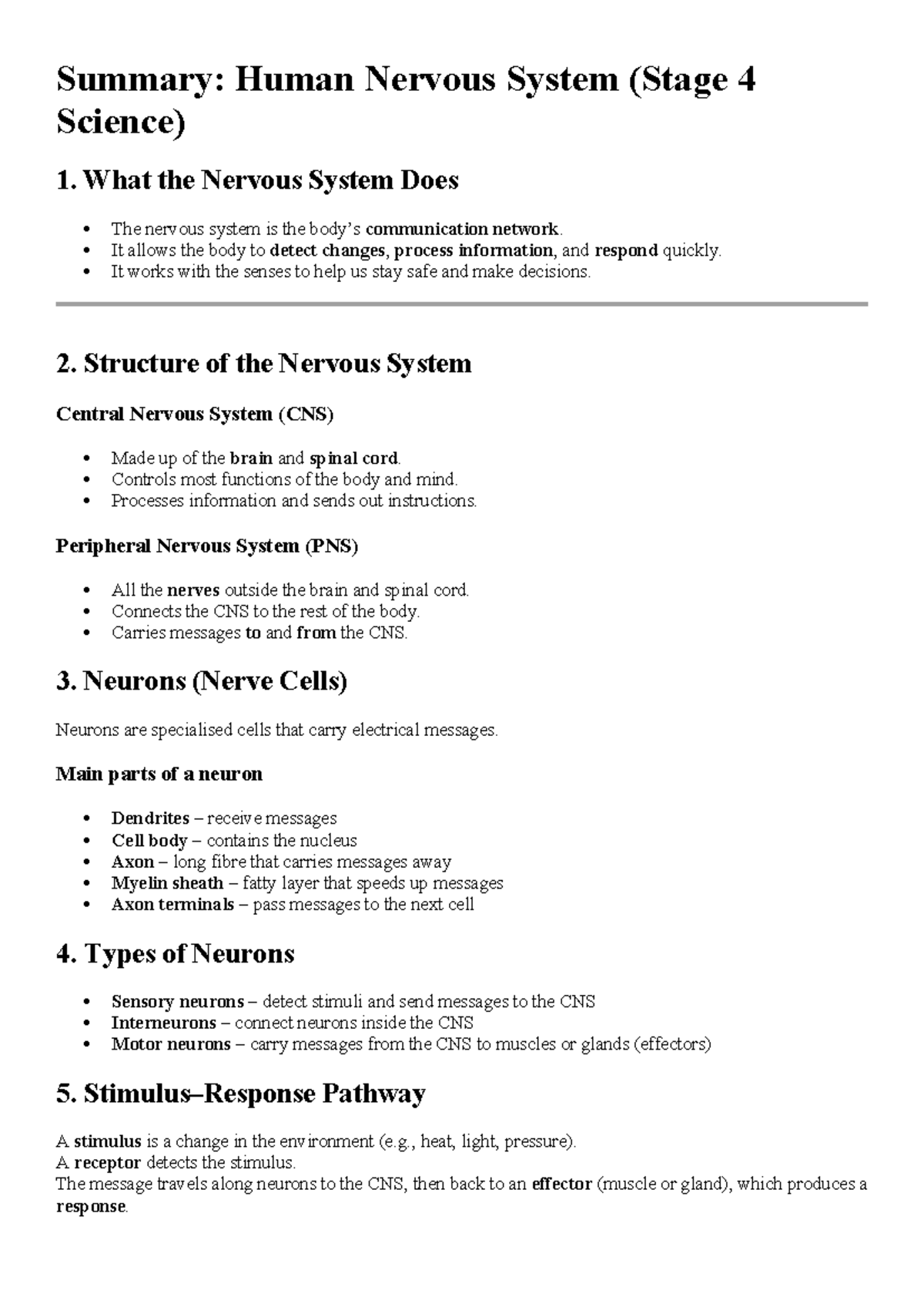 Yr 9 Science: Nervous System Summary & Revision Guide - Studocu