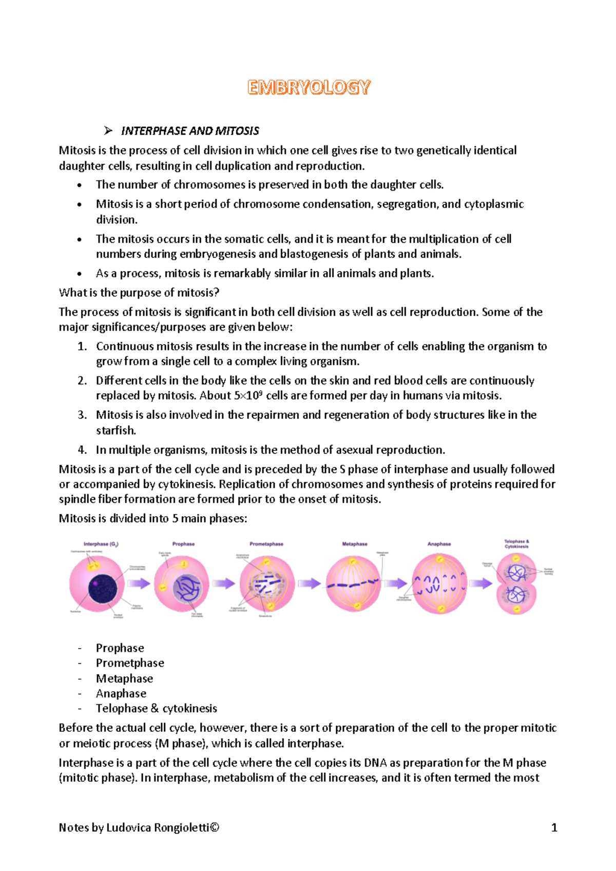 Embryology - Mitosis & Meiosis Study Notes for Course EMB101 - Studocu