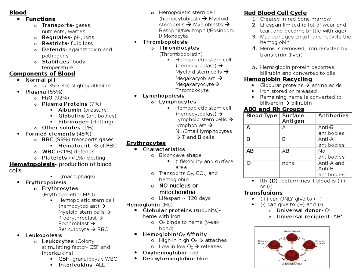 Unit 2 Cardiovascular System: Blood Class Notes - Studocu