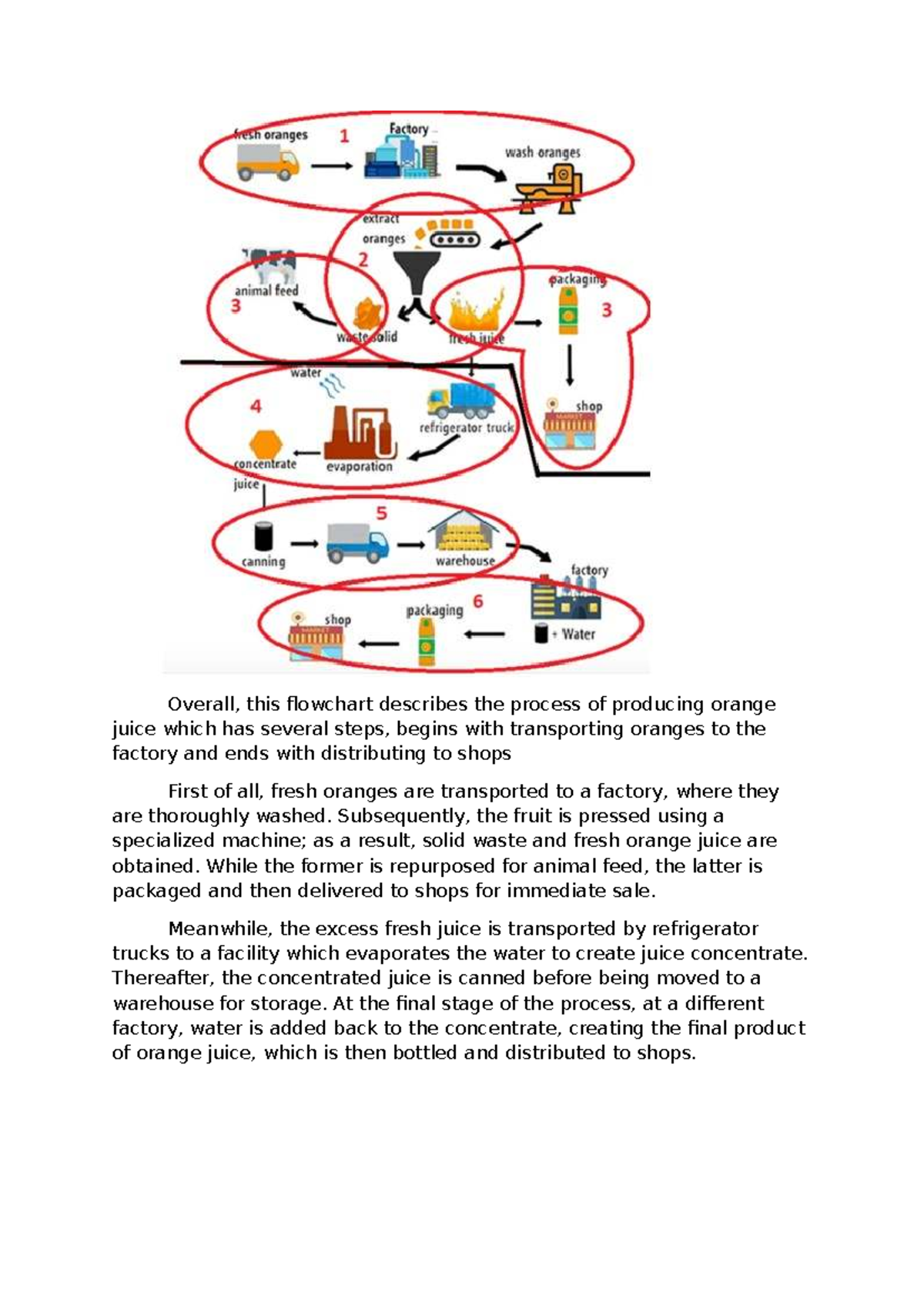 Production Process of Orange Juice - Trung Son Report Ex 1,3 - Studocu