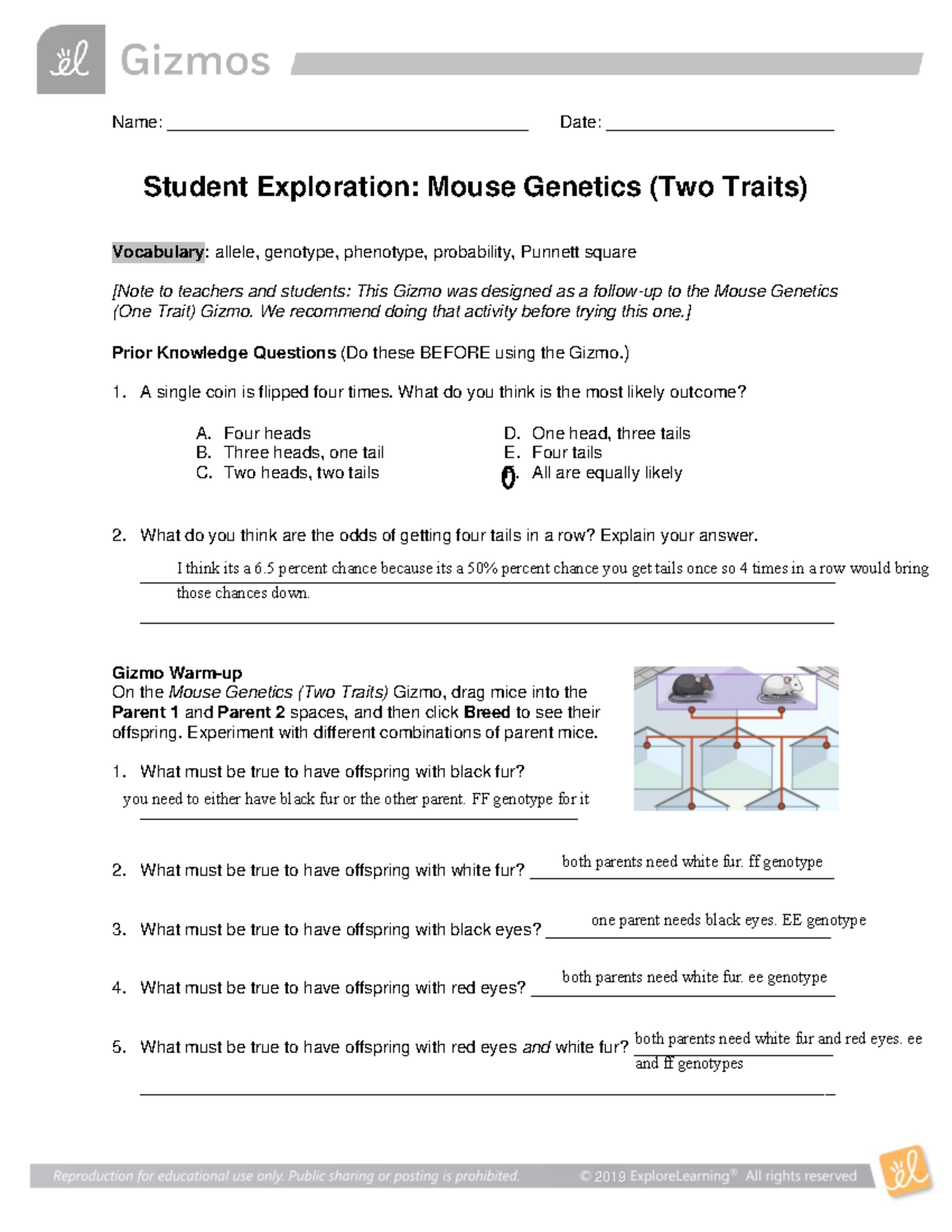 Mouse Genetics Gizmo: Two Traits Exploration Answer Key - Studocu