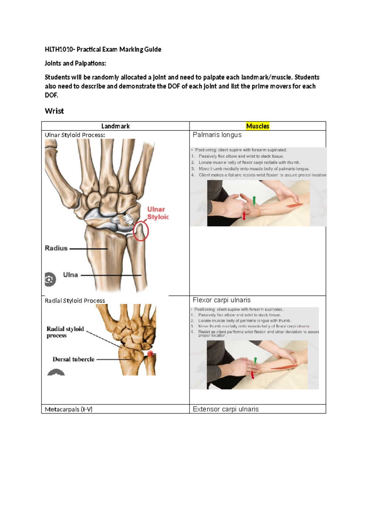 Prac exam notes - HLTH1010- Practical Exam Marking Guide Joints and ...