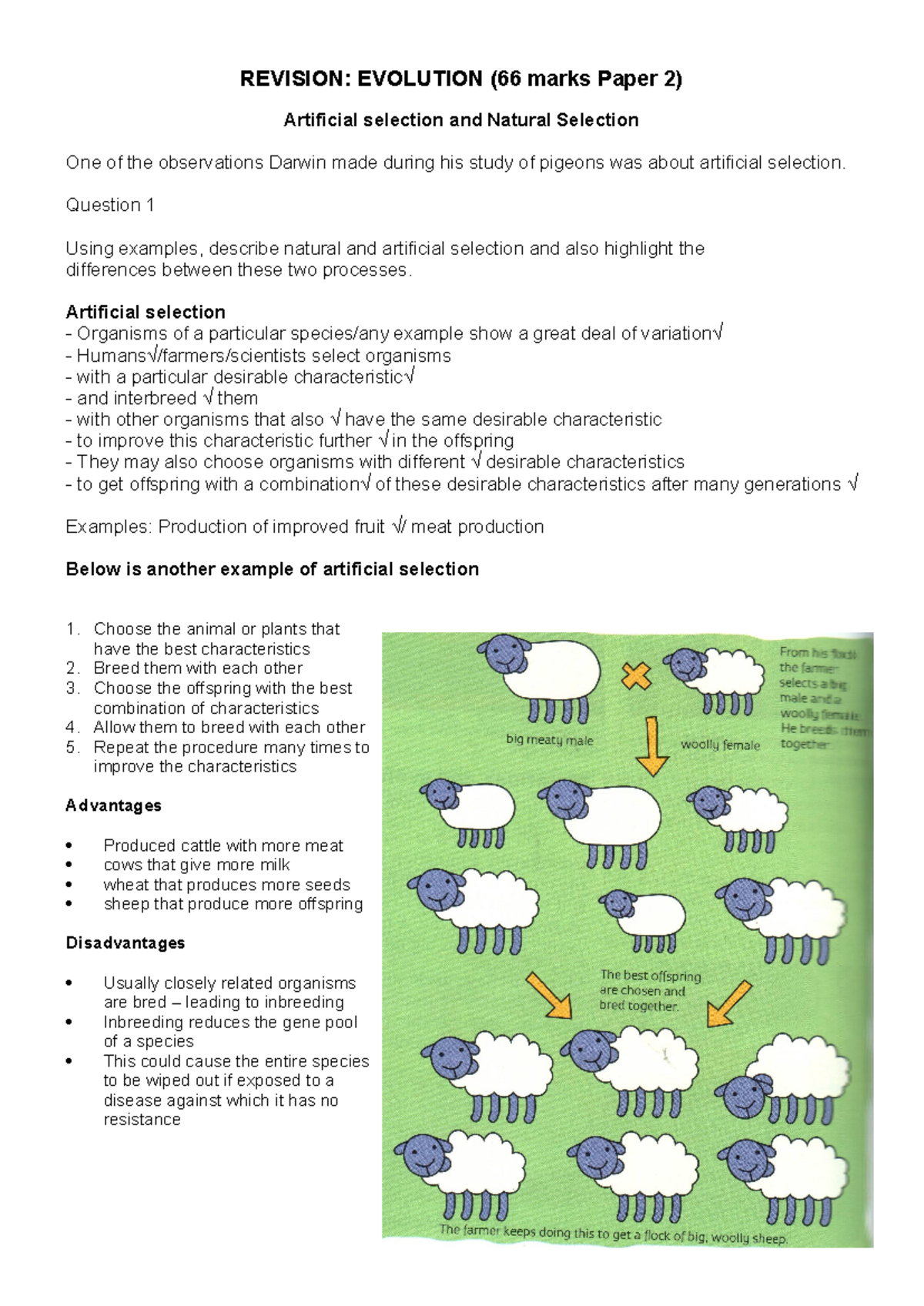 Summary of evolution and some questions with answers 2014 final ...