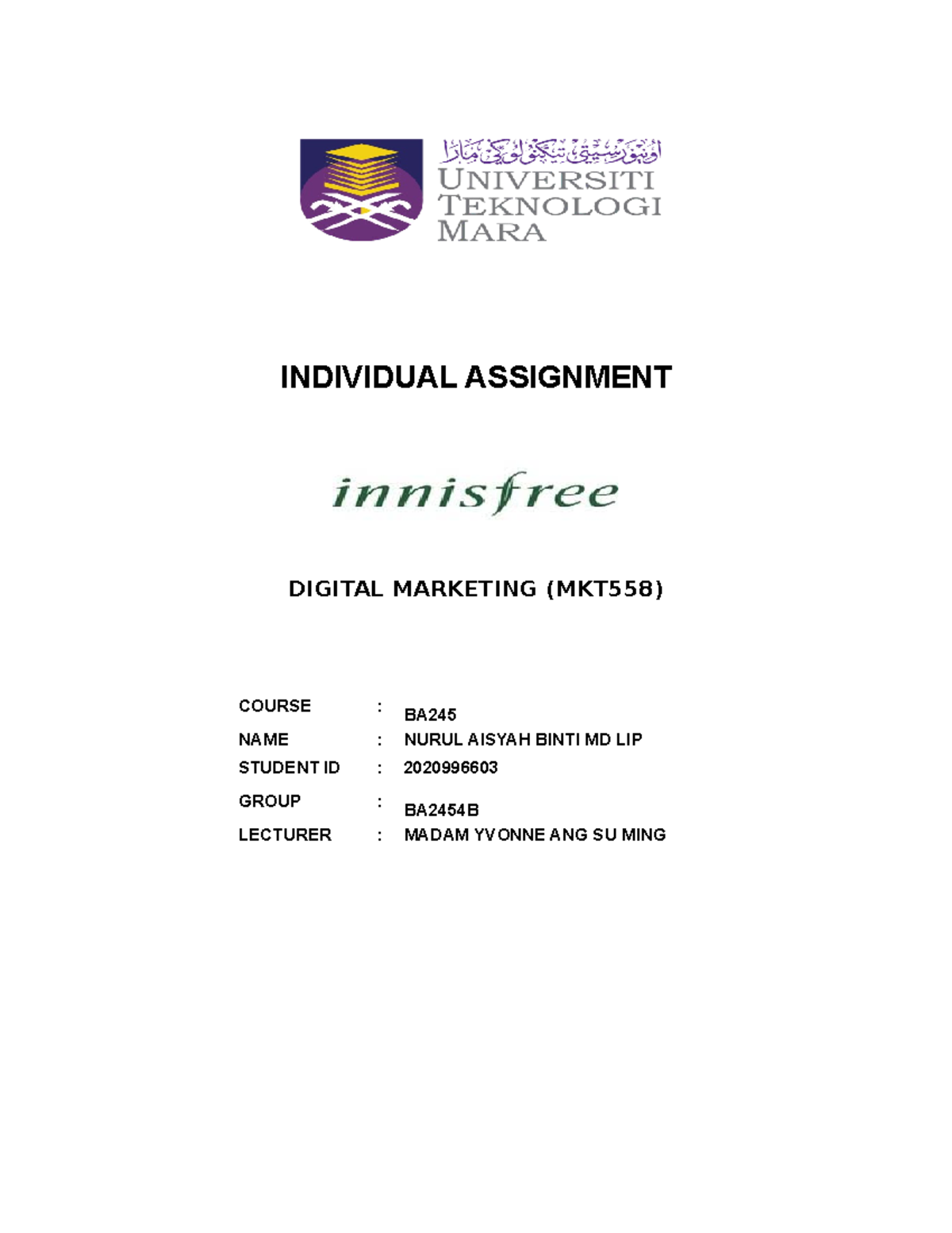 Individual Assignment MKT558 - INDIVIDUAL ASSIGNMENT DIGITAL MARKETING ...