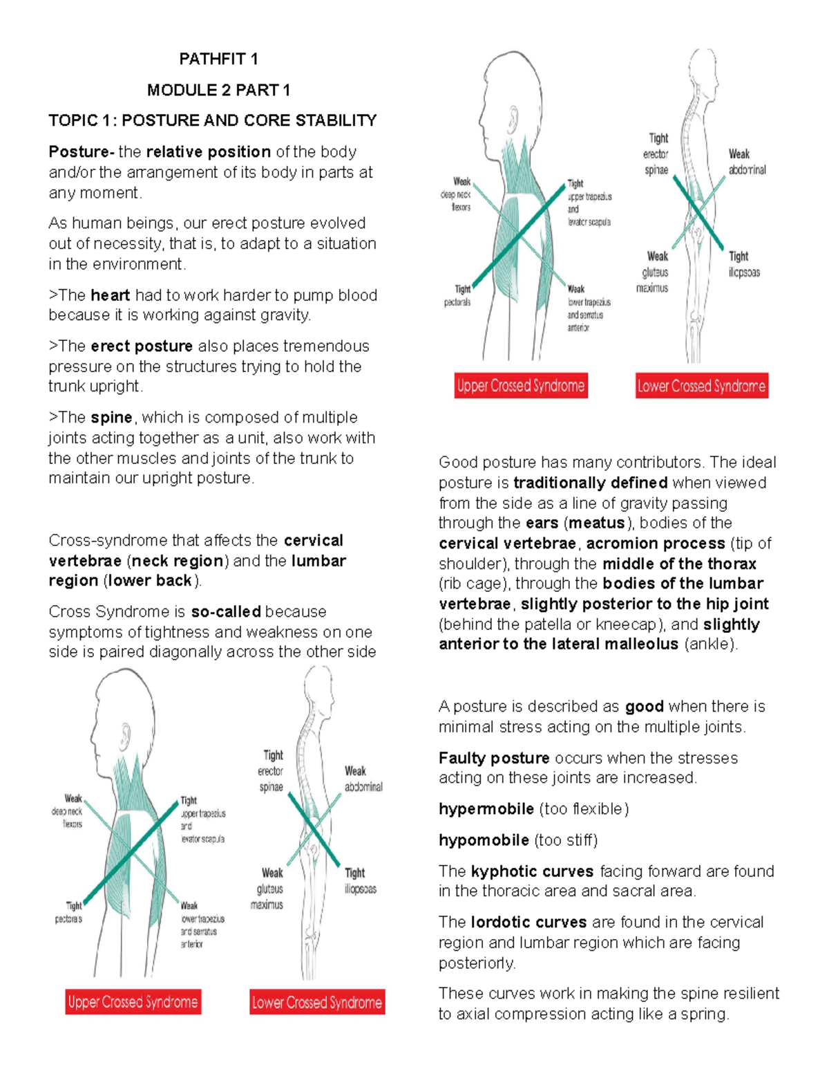 PATHFIT 1 MODULE 2: POSTURE, CORE STABILITY & MUSCULOSKELETAL FITNESS ...