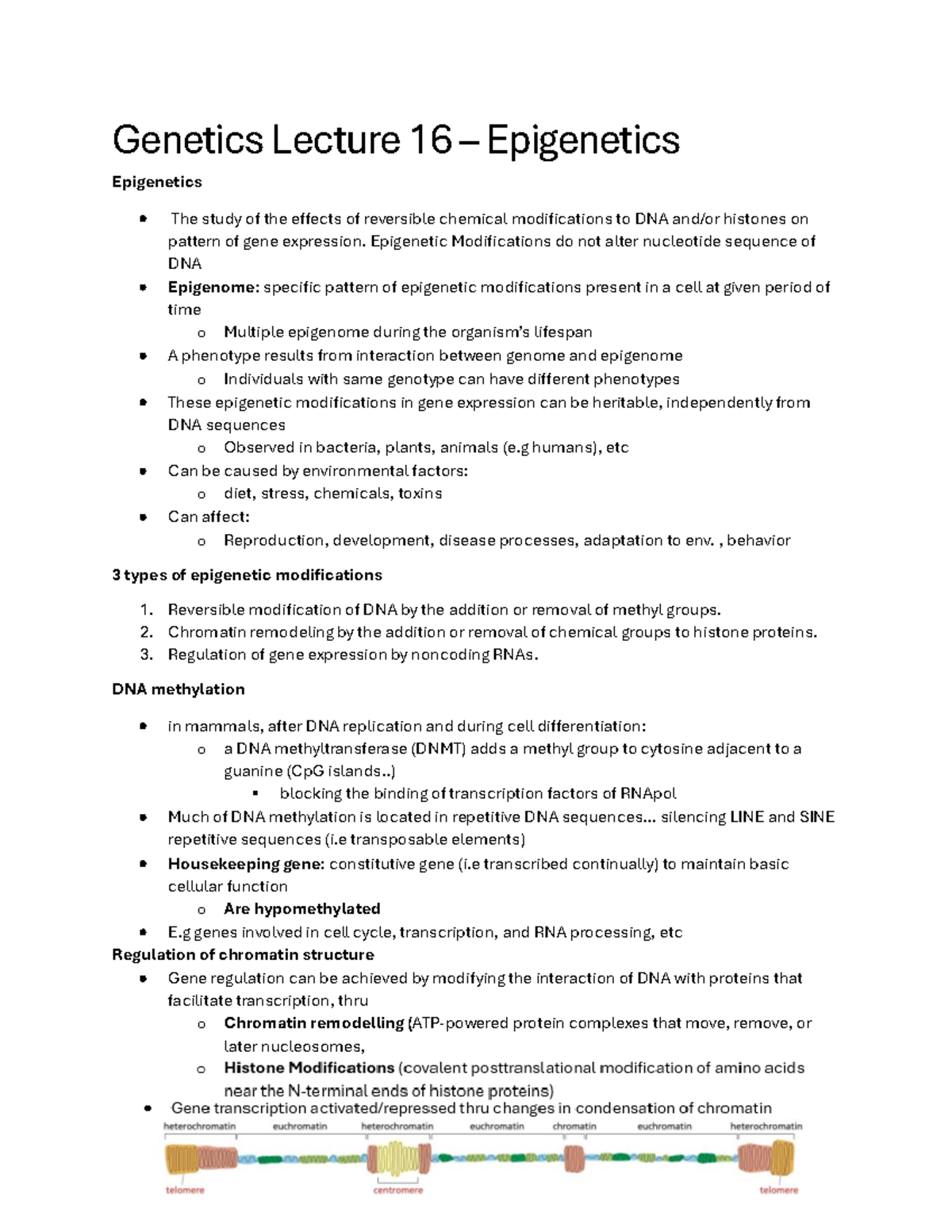Genetics Lecture 16: Understanding Epigenetics and Gene Expression ...