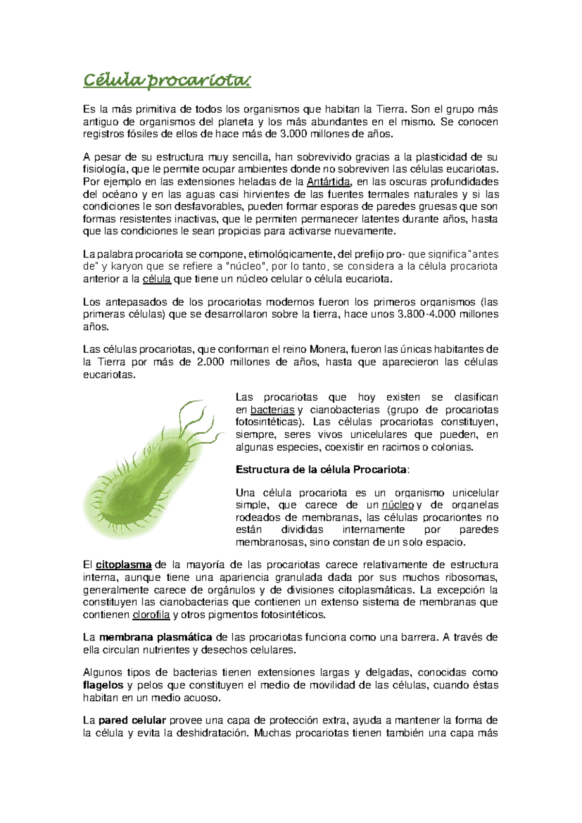 Células Procariotas y Eucariotas: Estudio Detallado 071803 240430 072526 -  Studocu