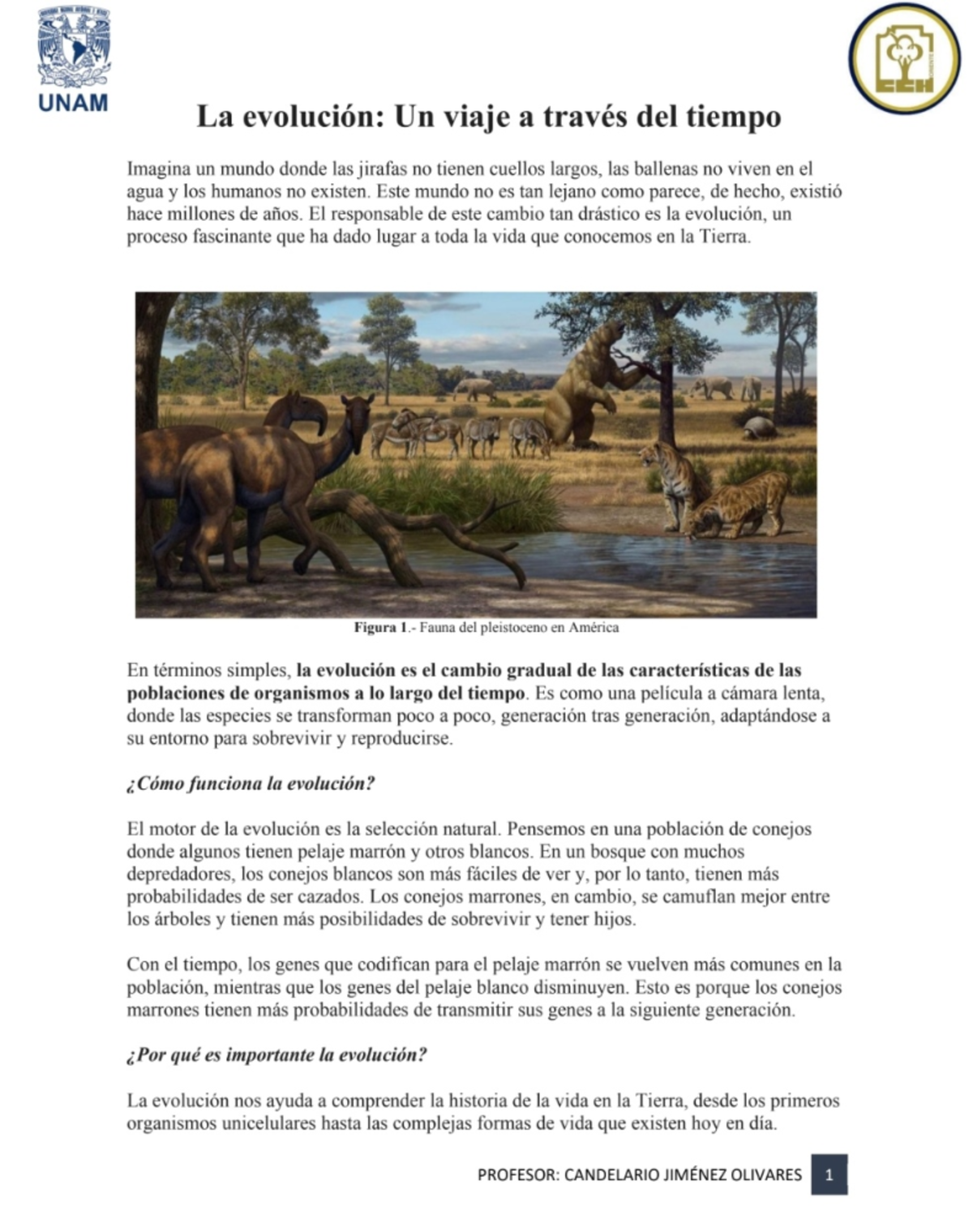 Evolución: Un Viaje a Través del Tiempo - UNAM - Studocu