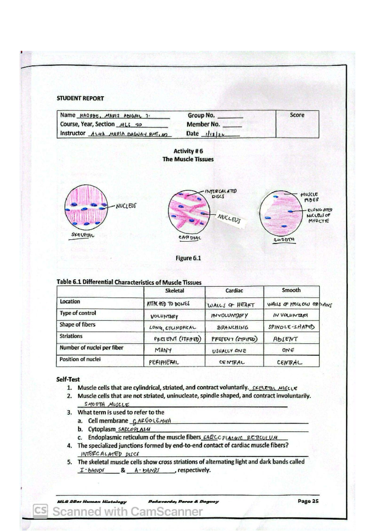 MCS 2D Final Report on Muscle Tissues and Their Characteristics - Studocu