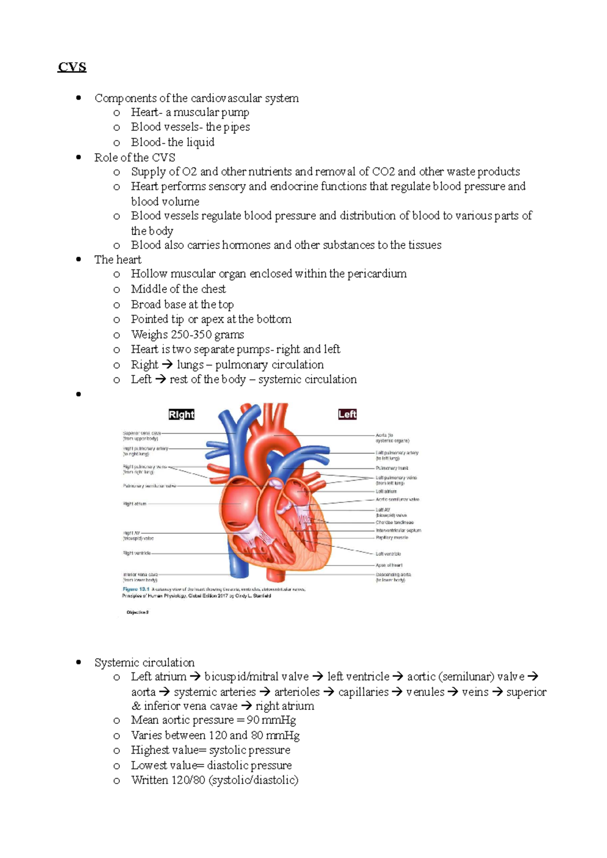 PHSL 101: Comprehensive Notes on Cardiovascular System for Exam 1 - Studocu