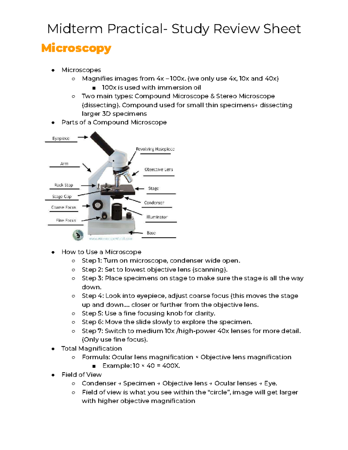 Biology Study Notes: Kingdoms Monera, Protista, Fungi & Plantae - Studocu