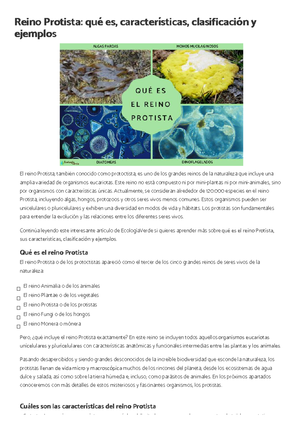 Características, Clasificación y Ejemplos del Reino Protista (Biología  9822264974) - Studocu