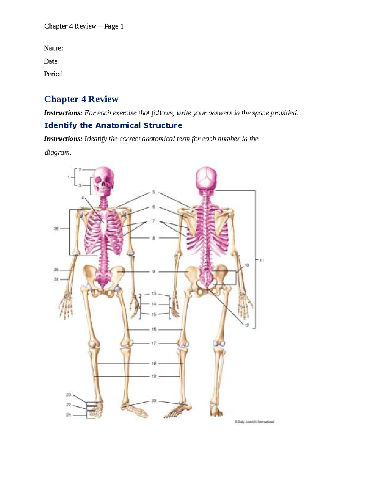Anatomy & Physiology: Chapter 4 Test Review Guide - Studocu
