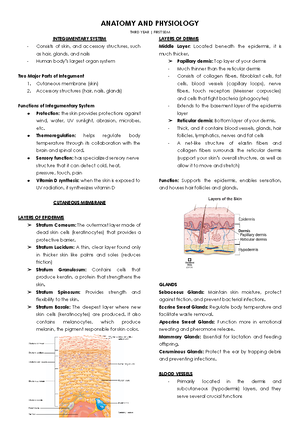 Muscle - SMOOTH MUSCLE Shows a great development of the Not striated ...