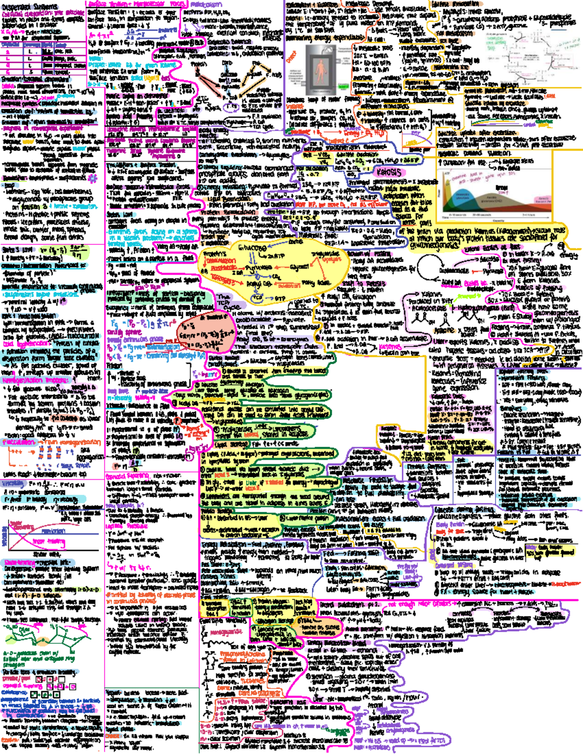 TEST 2 Foodsci 200: Intermolecular Forces and Metabolism Overview - Studocu