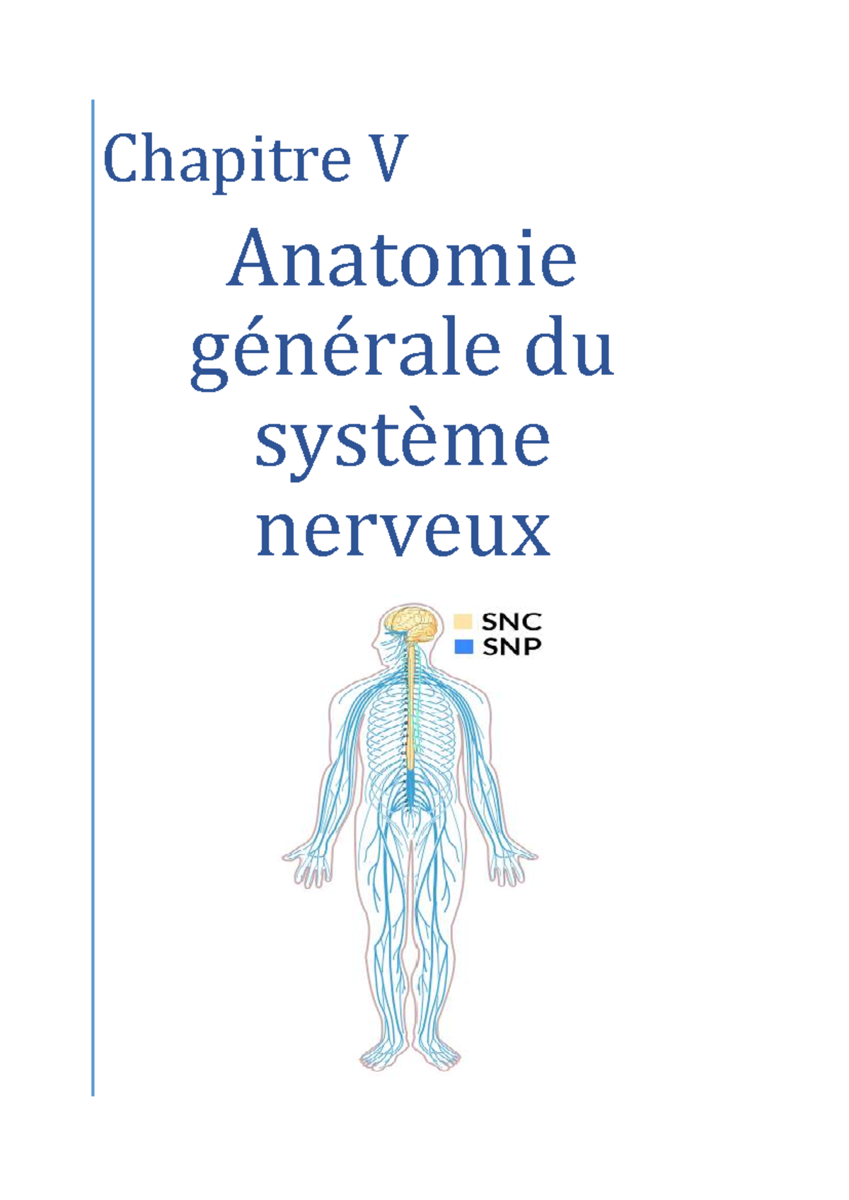 Chapitre V: Anatomie Générale du Système Nerveux - Studocu
