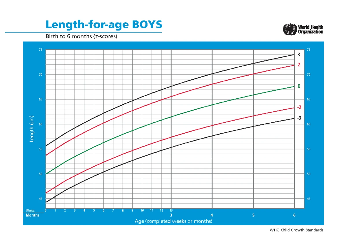 Cht bfa boys z 0 2 - WHO Growth Chart for BMI for age - GNK 481 - WHO ...