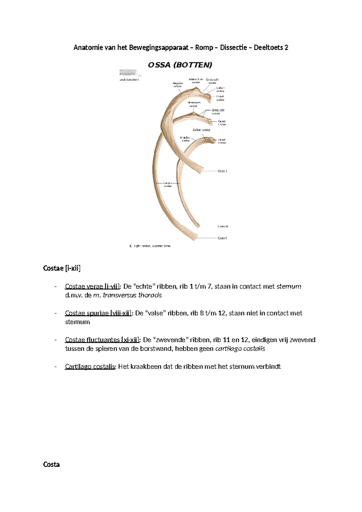 Samenvatting Anatomie van het Bewegingsapparaat - DT2 Dissectie Romp ...