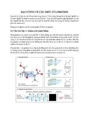 [Solved] Hnh dng cu to chc nng ca t bo cht T bo cht l sinh vt nhn thc ...