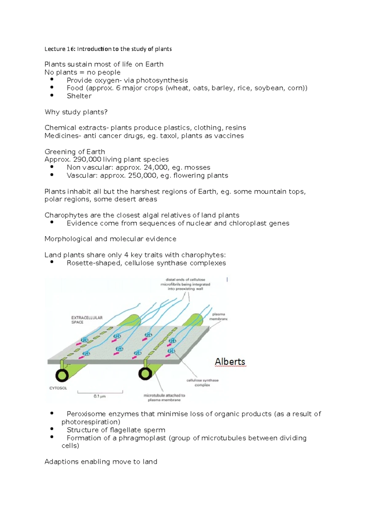 Week 8 Solutions - Comprehensive Guide for Assignments - Studocu