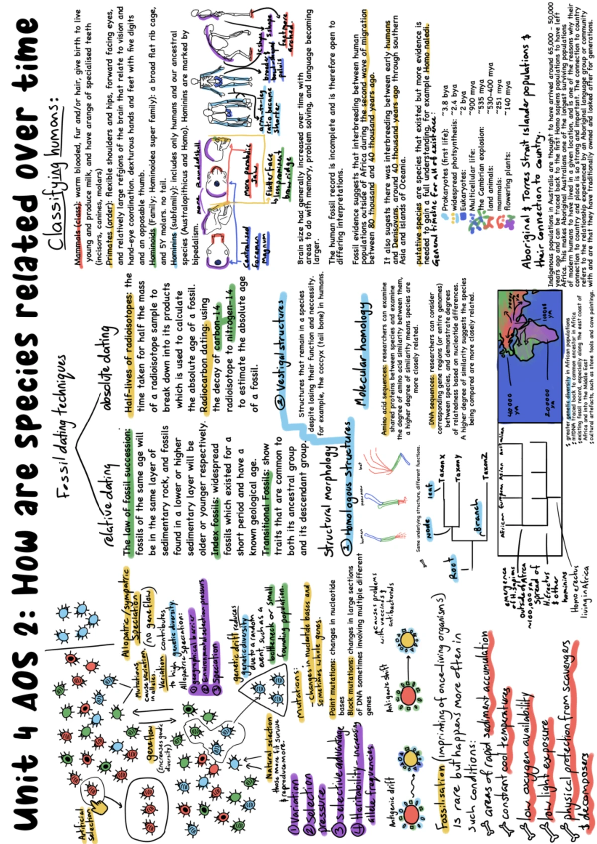 Biology 2024 Unit 4 AOS 1: Immune Responses to Pathogens Explained ...