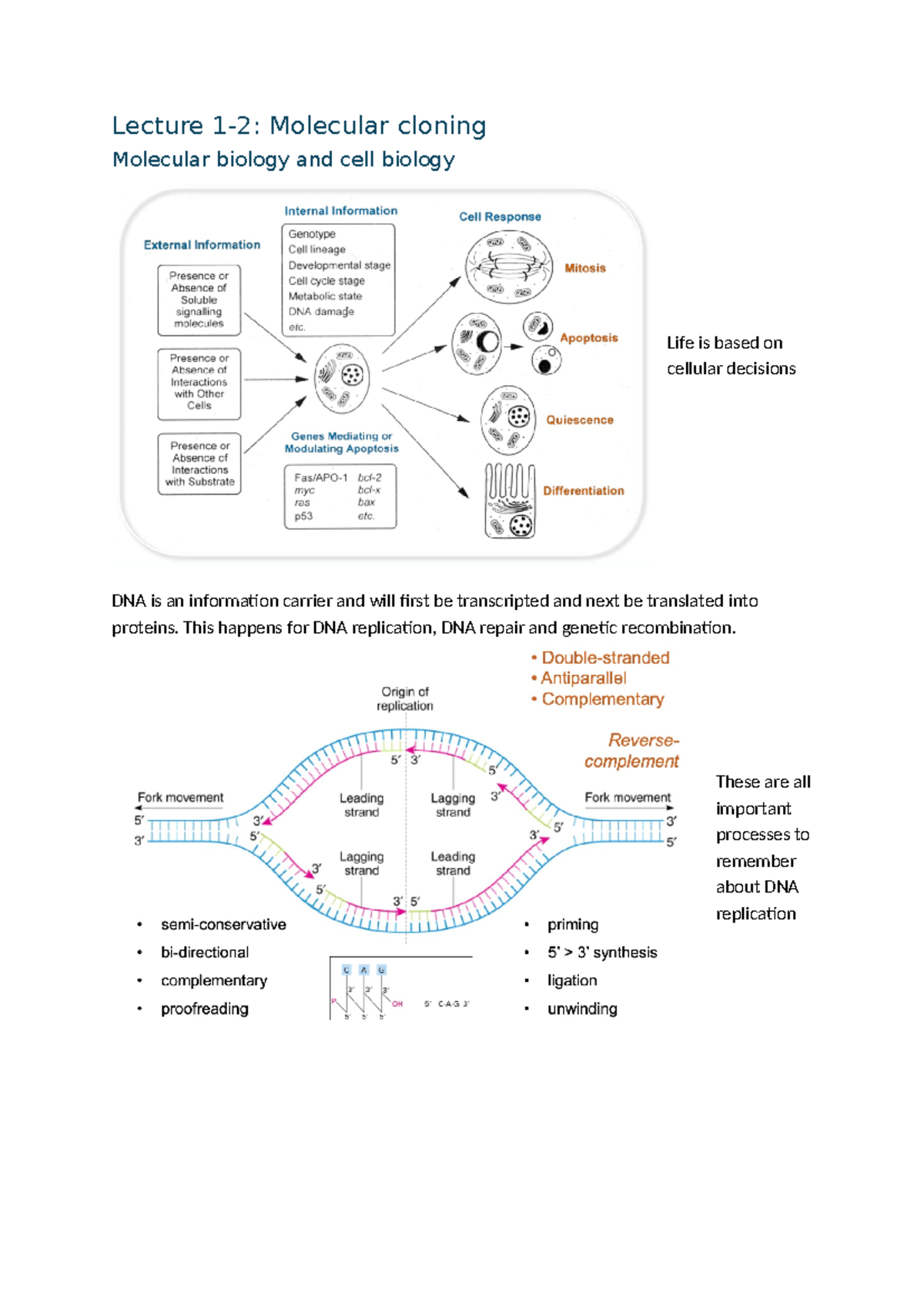 Lecture 1-2: Overview of Molecular Cloning in Medical Biotechnology ...