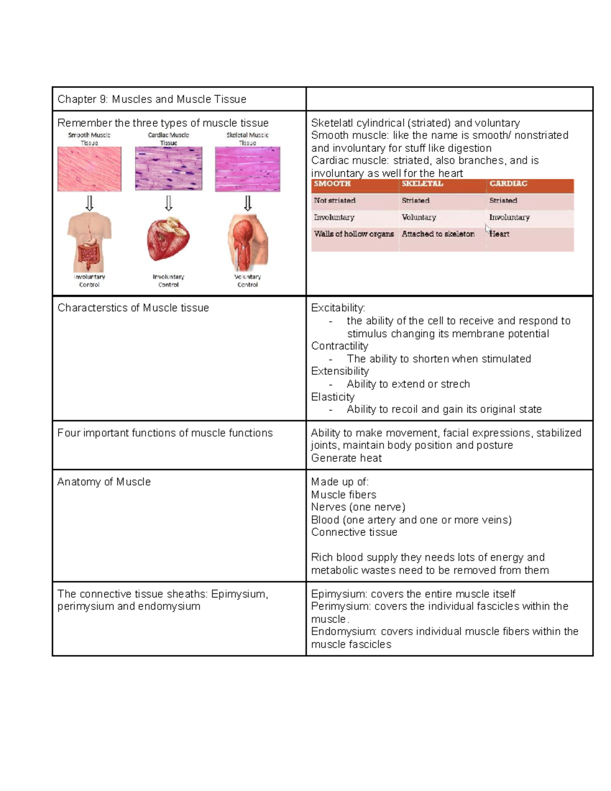 Chapter 11: Fundamentals of the Nervous System & Muscle Tissue Overview ...