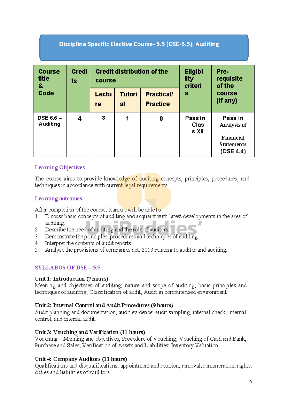 DSE 5.5 Auditing Course Syllabus and Learning Objectives - Studocu