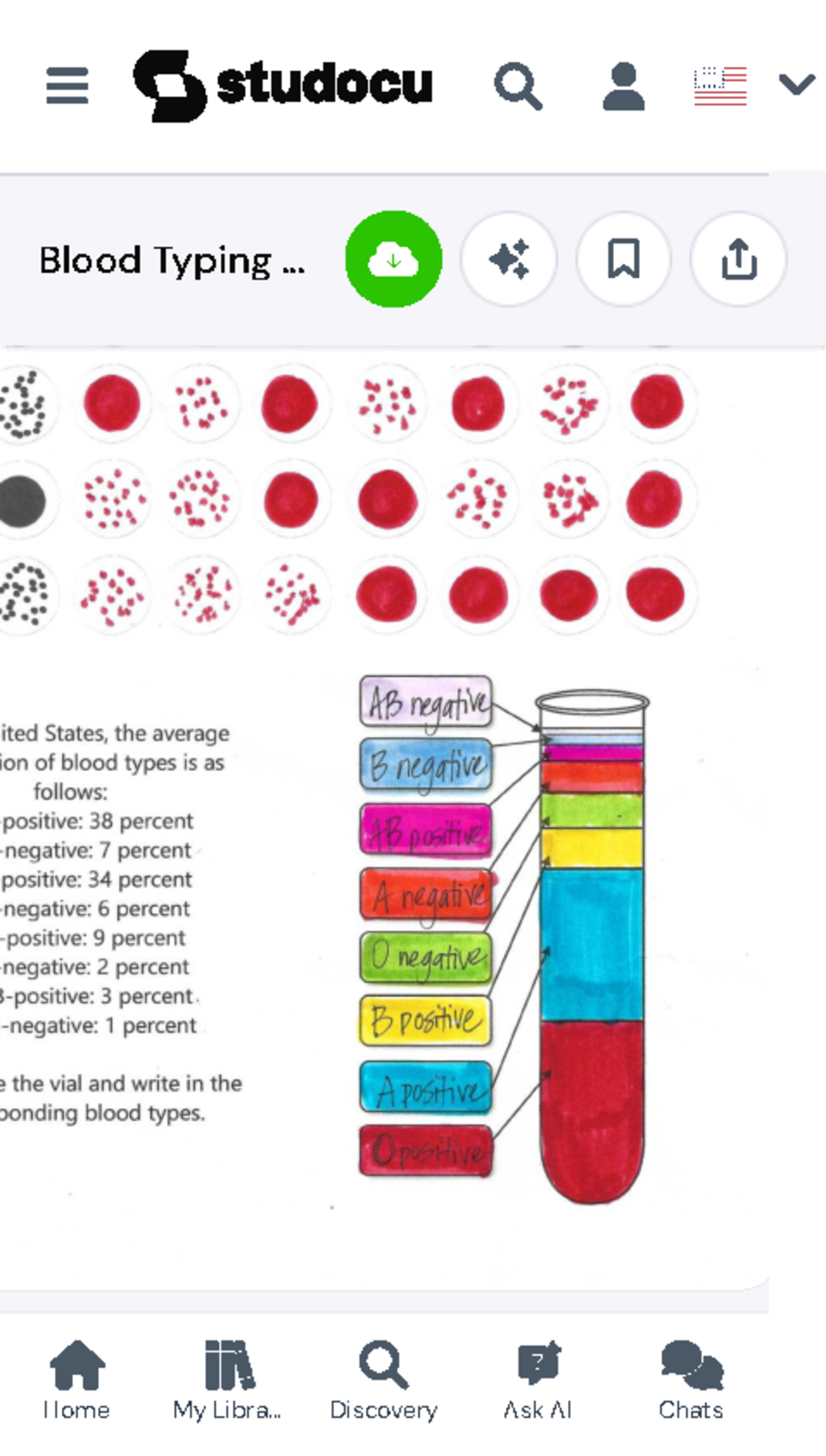 Blood Typing Answer Key - Blood Types Distribution &amp; Characteristics - Studocu