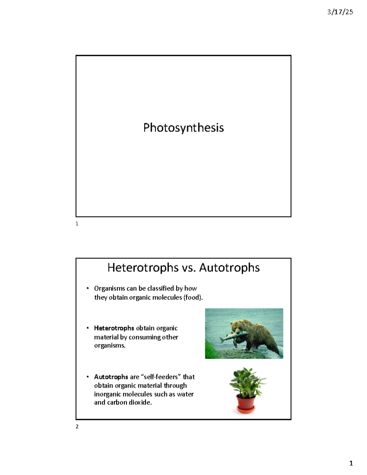 Photosynthesis Overview and Mechanisms - BIOL101 Lecture 9 ...
