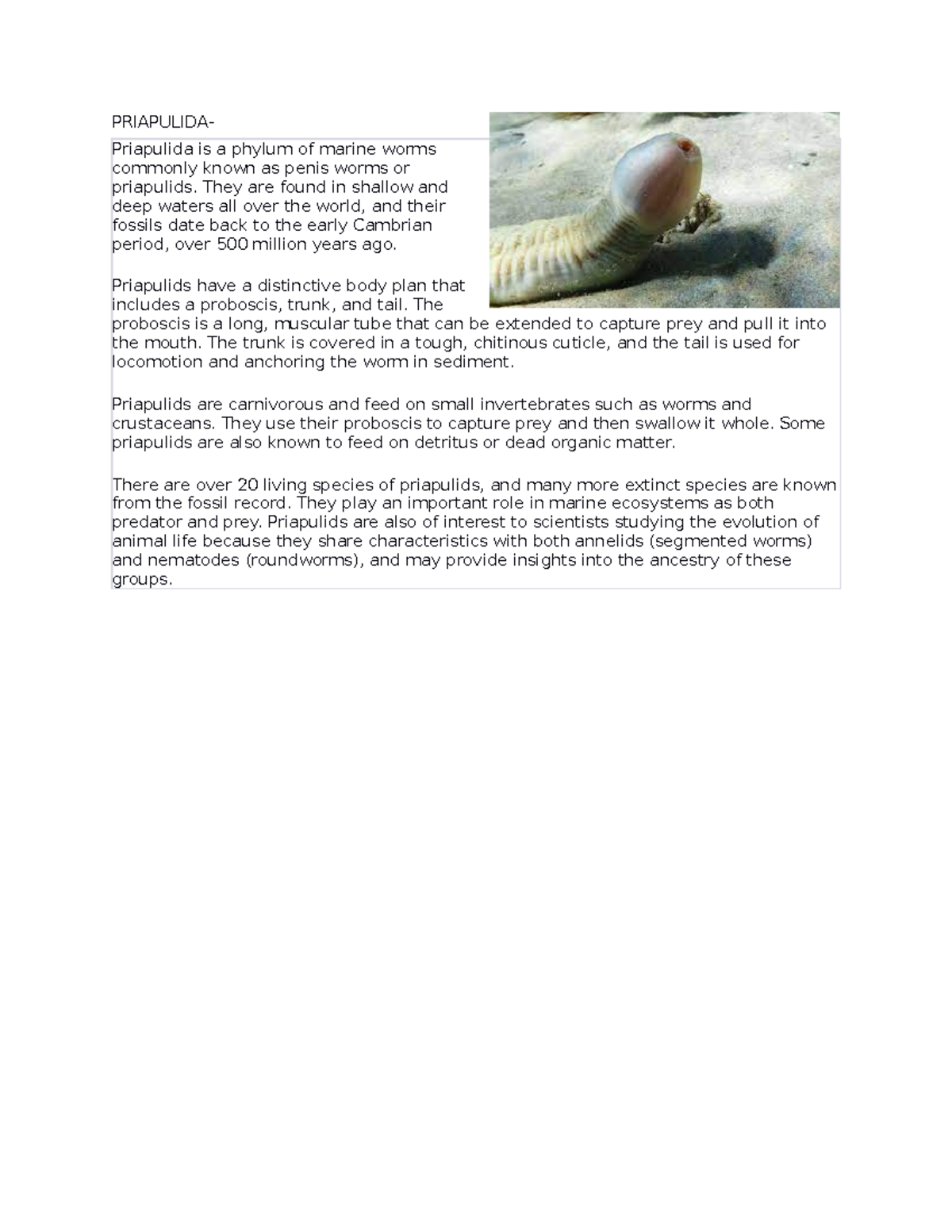 Priapulida: Insights into Marine Worm Evolution and Ecology - Studocu