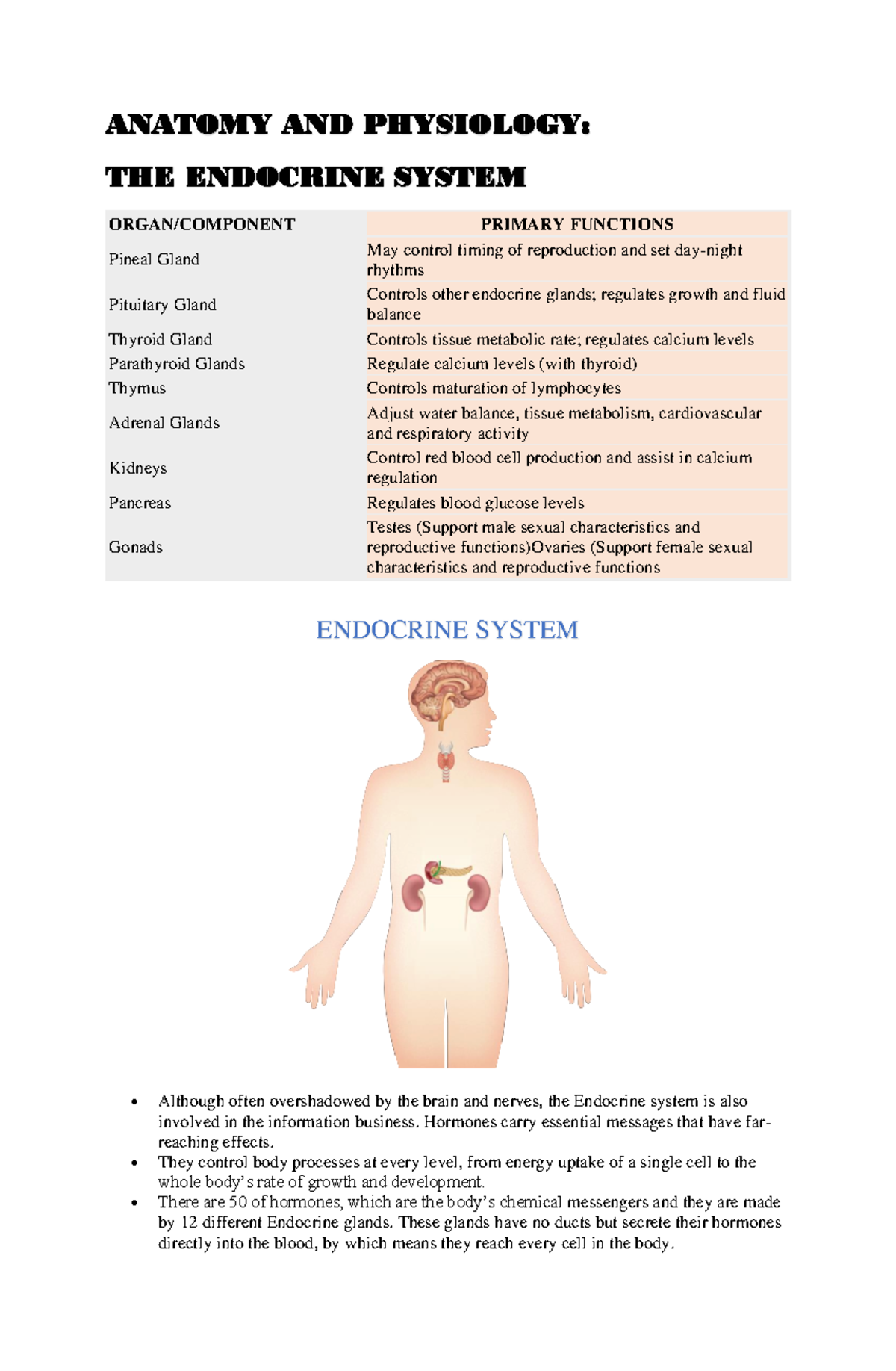 The Endocrine System Overview for Anatomy & Physiology (AP 101) - Studocu