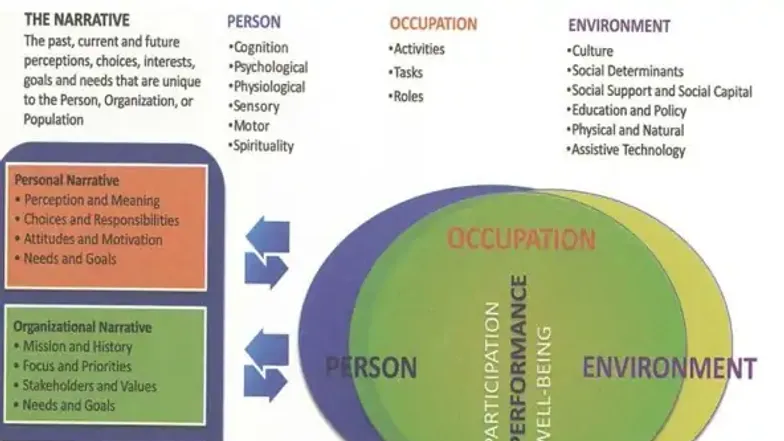 Introduction to Occupational Therapy (OT) Notes - Week 1 & 2 Overview ...
