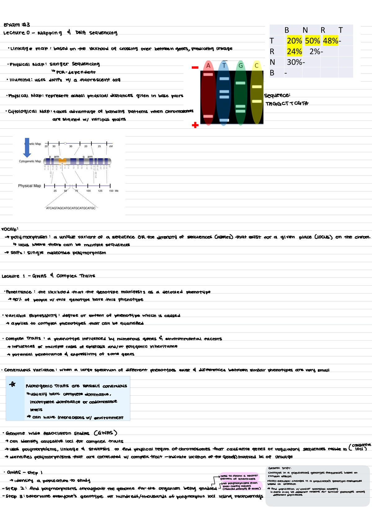 Exam -3 - This is a review guide for exam 3 for Genetics with Merselis ...