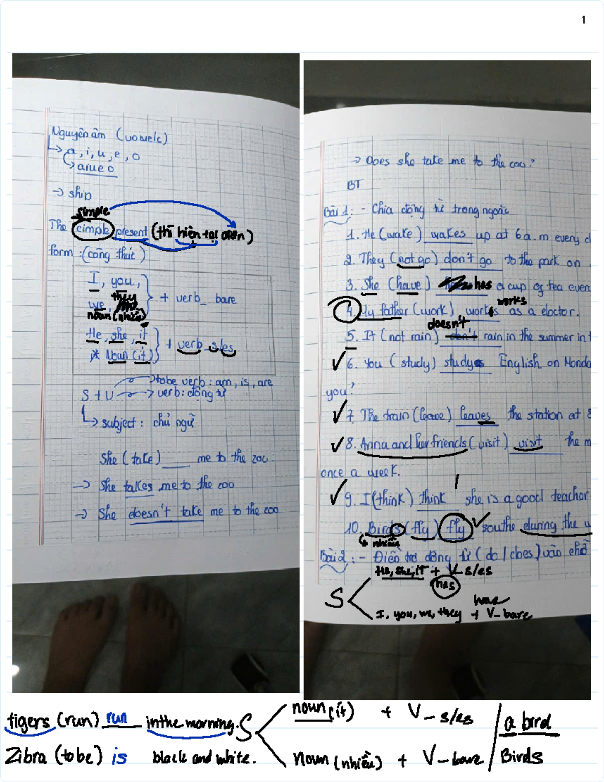 BT - Simple Present Tense Exercises and Continuous Present Tense Notes ...