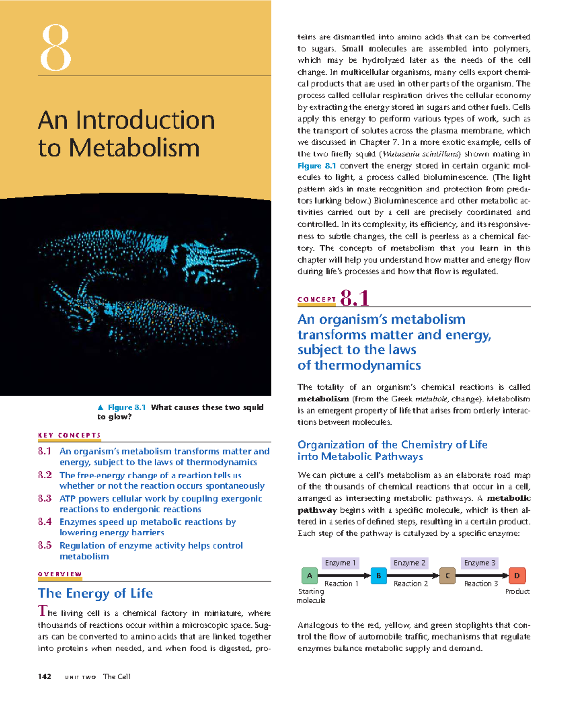 Investigating Allosteric Inhibitors of Caspase 1: Insights and Outcomes ...