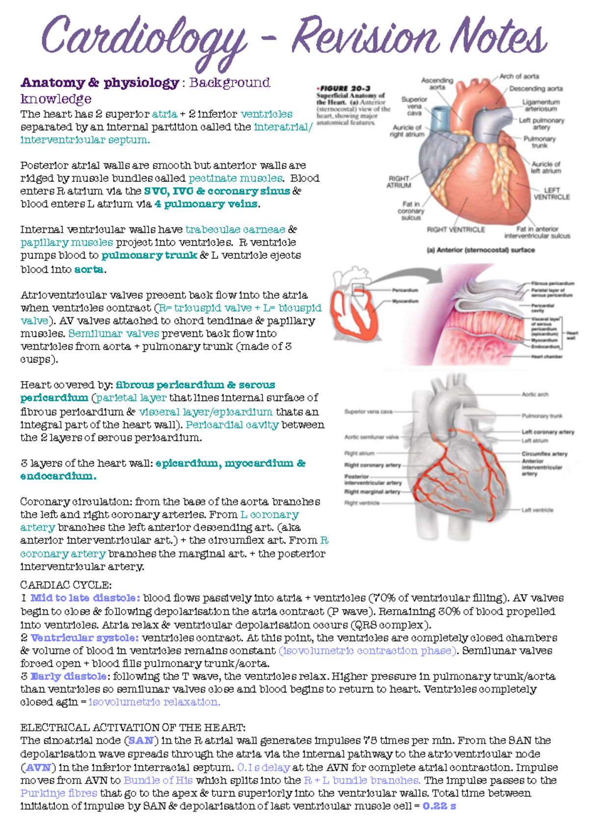 Cardiology Revision Notes Anatomy Physiology - Studocu