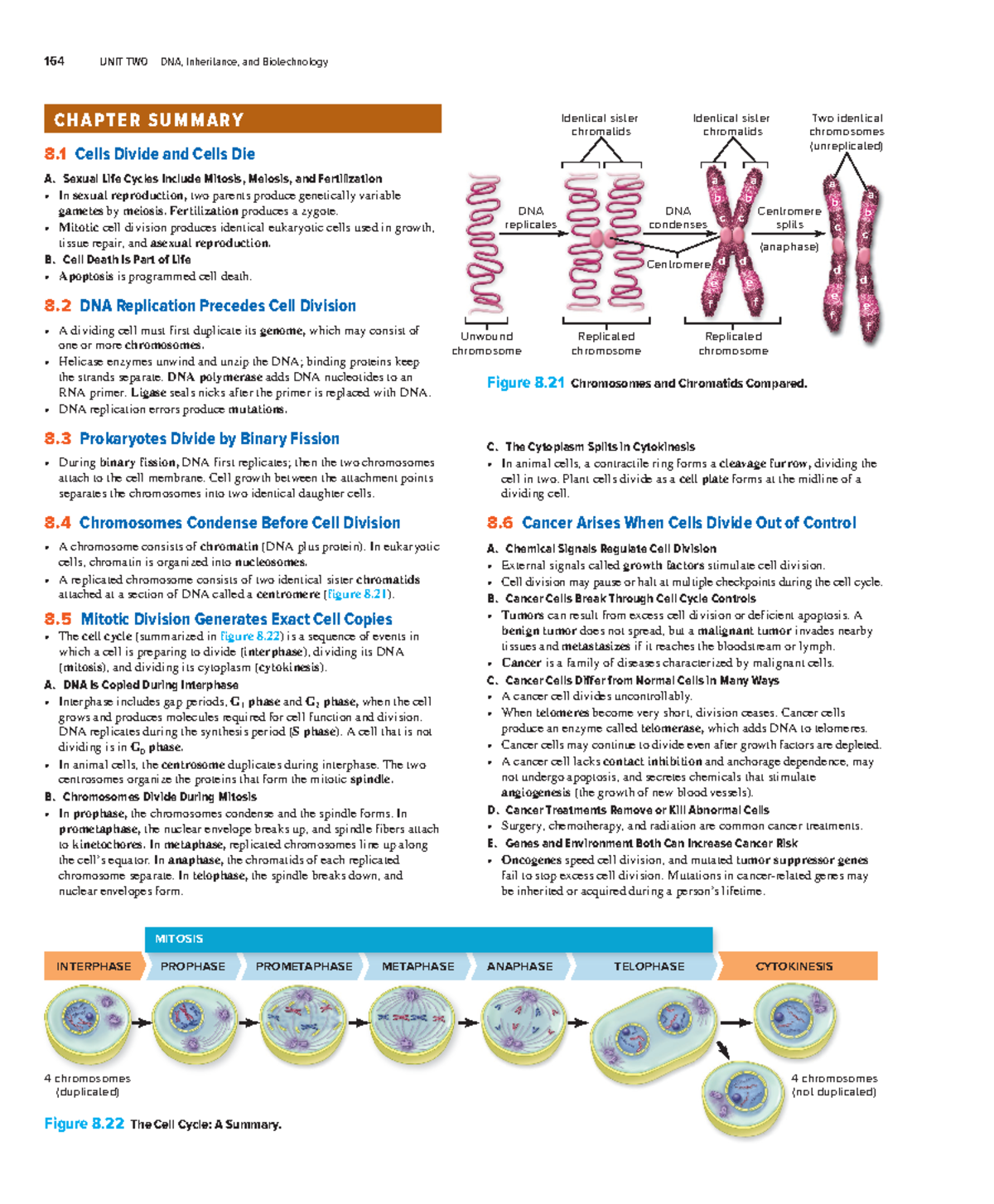 Biology 101: Chapter 8 Review on Cell Division and Cancer Concepts ...