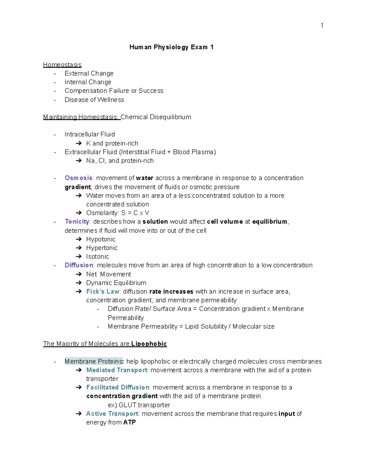 Human Physiology Exam 1 Review: Homeostasis & Muscle Contraction - Studocu
