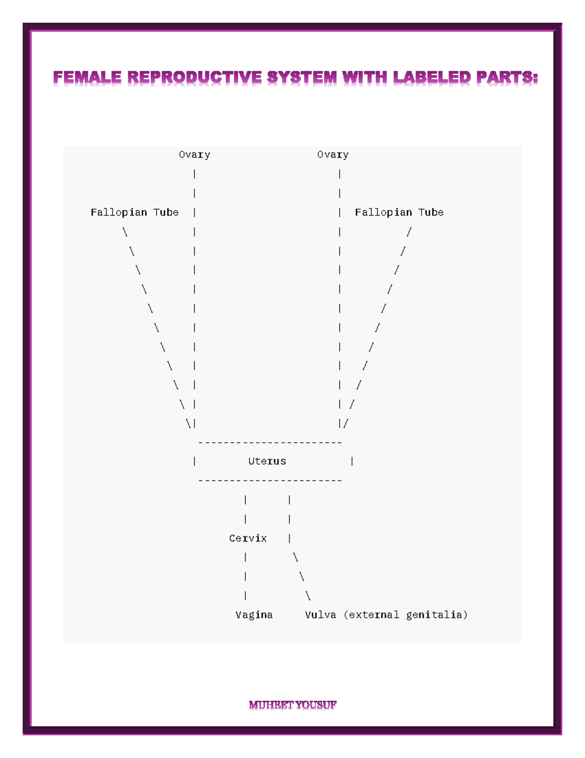 FRS - REPRODUCTION - grade 10 biology - MUHEET YOUSUF FEMALE ...