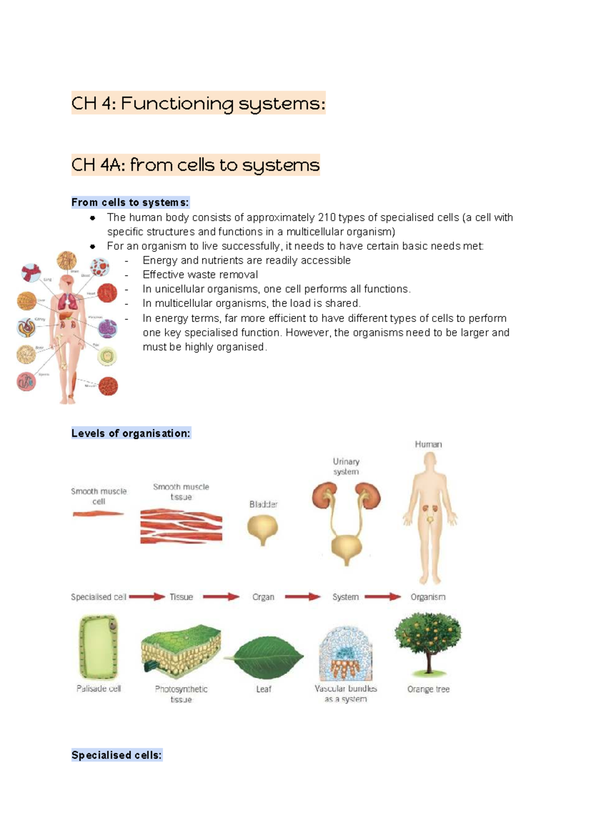 Biology CH 4 & 5: Functioning Systems and Homeostasis Overview - Studocu