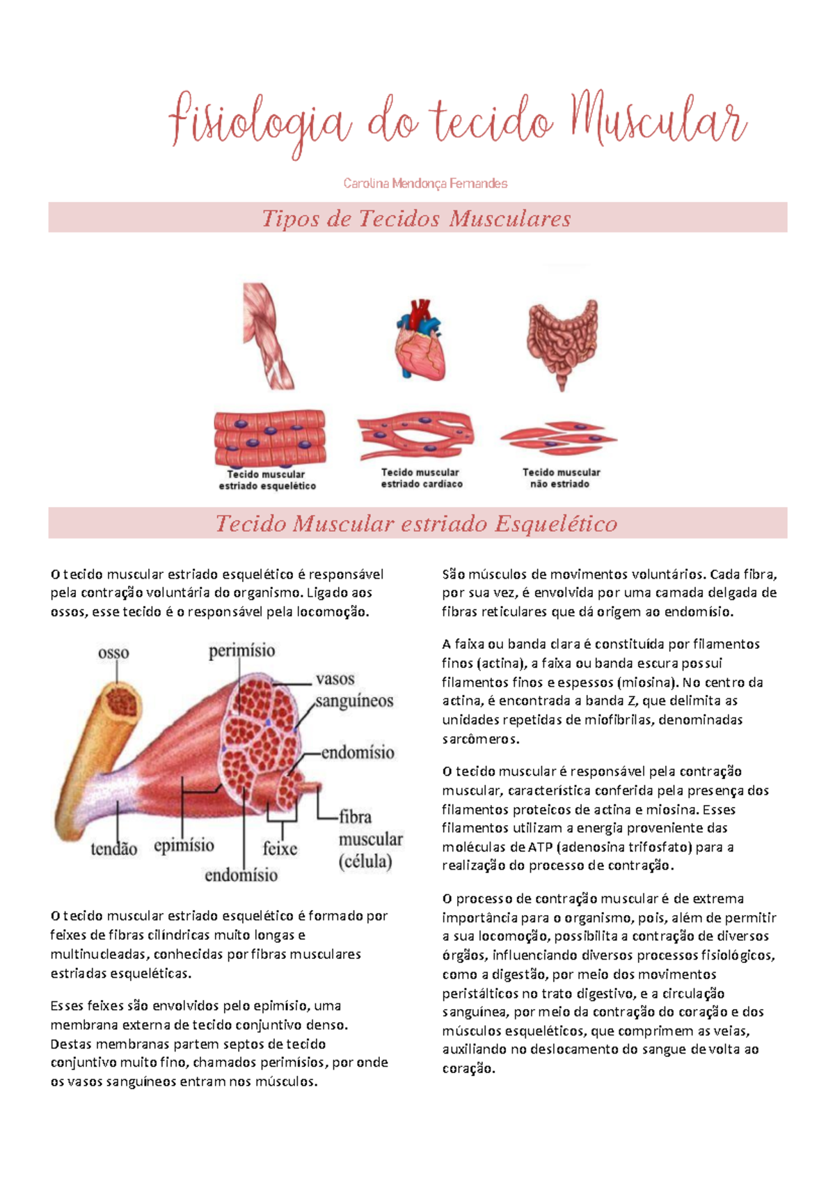 Fisiologia I - Tecido Muscular - Carolina Mendonça Fernandes Tipos de ...