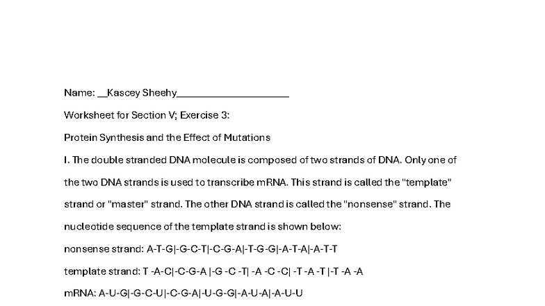 Extra credit worksheet for section V: Protein synthesis and mutations ...