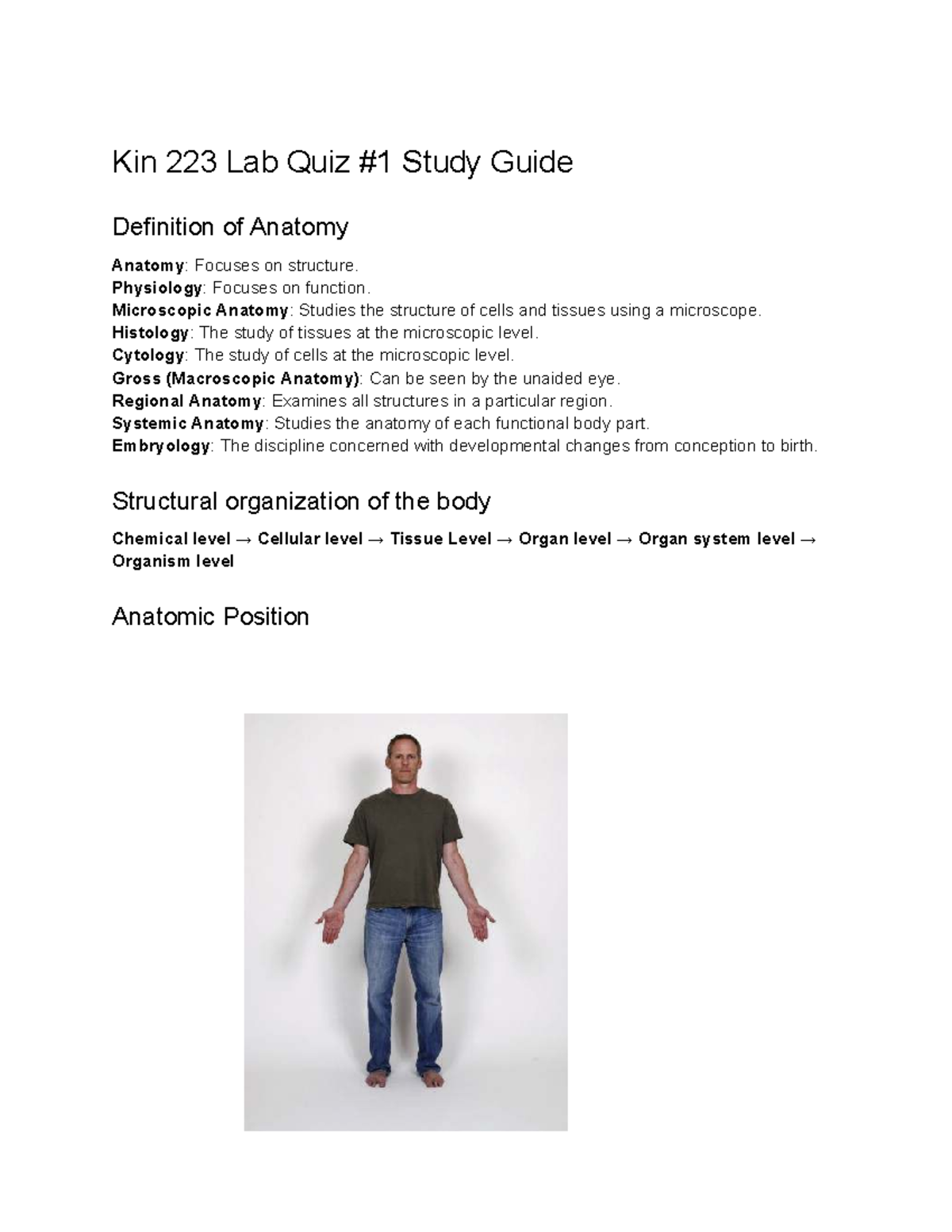 Kin 223L Lab Quiz Study Guide: Anatomy & Body Organization - Studocu