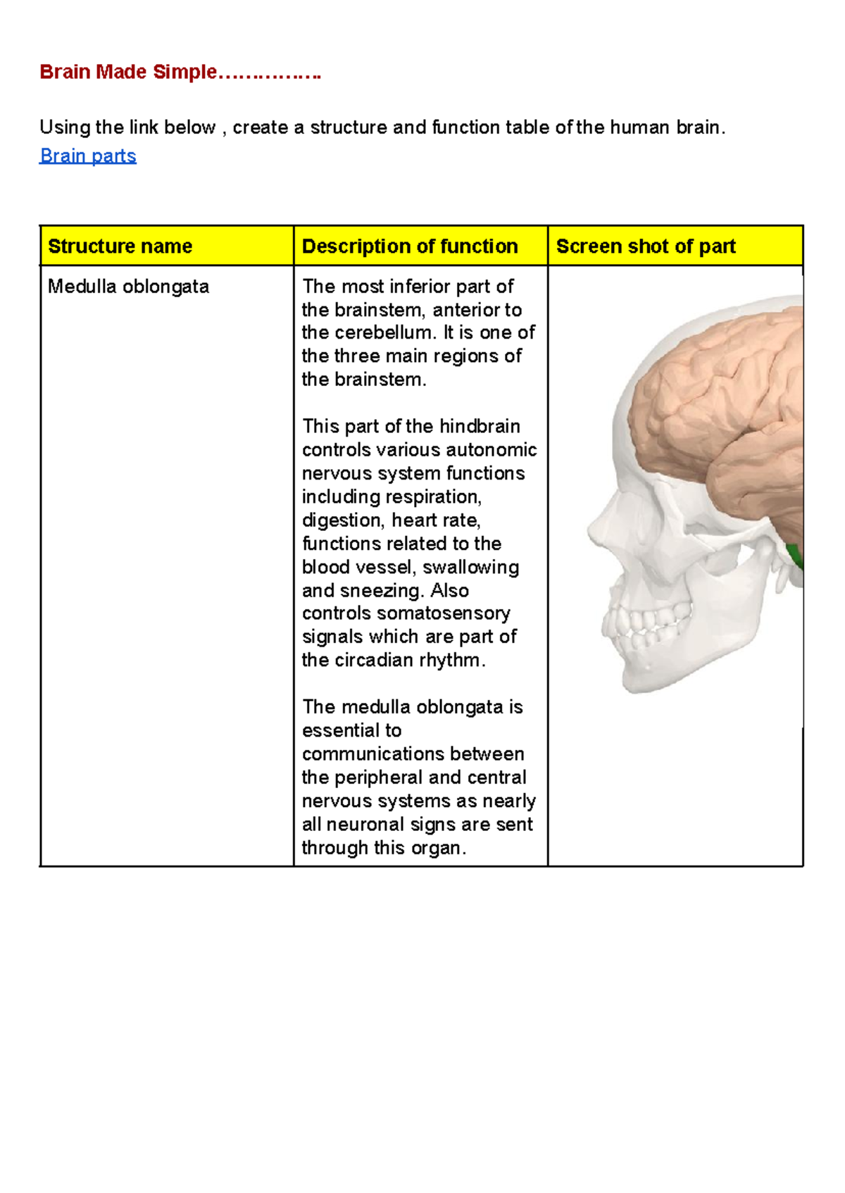 Brain Structure & Functions: A Table of Human Brain Anatomy - Studocu