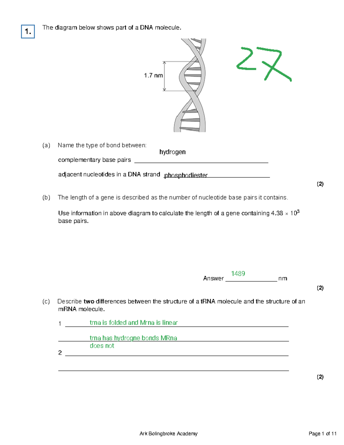 DNA ESQ - DNA practise questions a level biology - The diagram below ...
