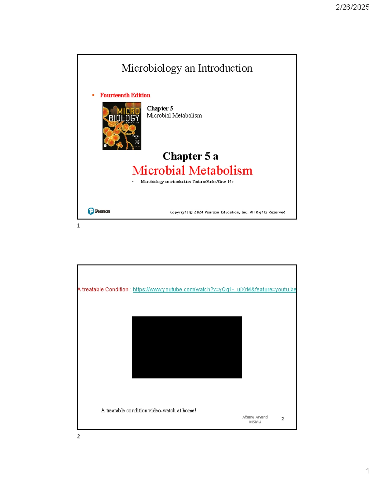 Microbiology an Introduction - Chapter 5: Microbial Metabolism Lecture ...