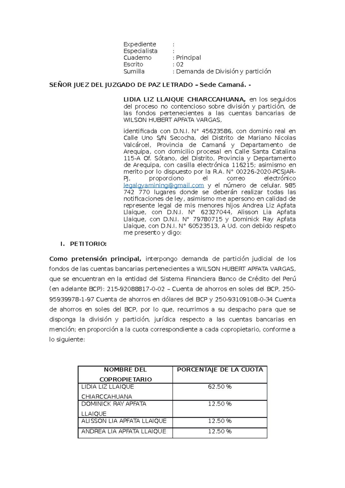 Demanda de División y Partición de Fondos - Caso Lidia L. Apfata - Document Preview